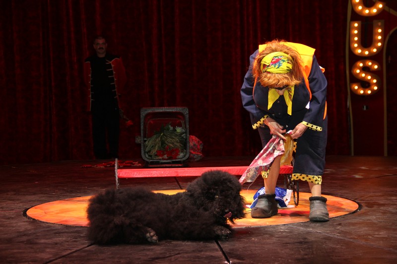 Opening of Dragon Circus